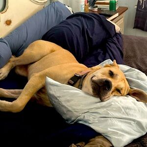 Meet your Posher, Wesley